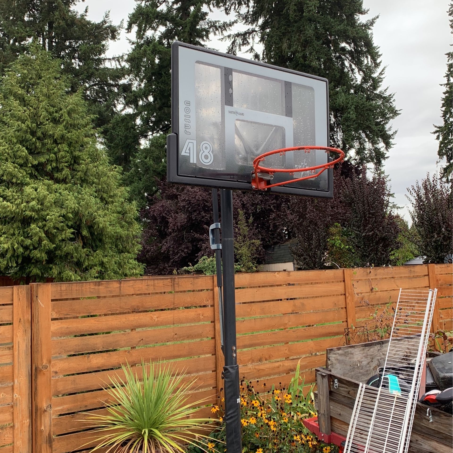 Basketball Hoop Adjustable 