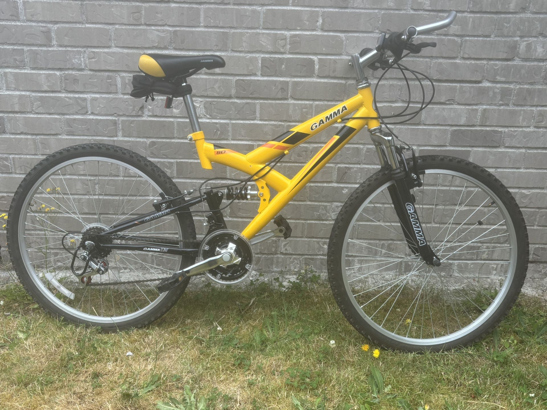 Gamma Mountain bike
