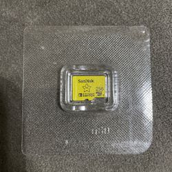 SanDisk 256GB for nintendo switch