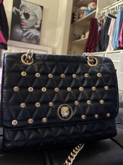 Aldo Purse