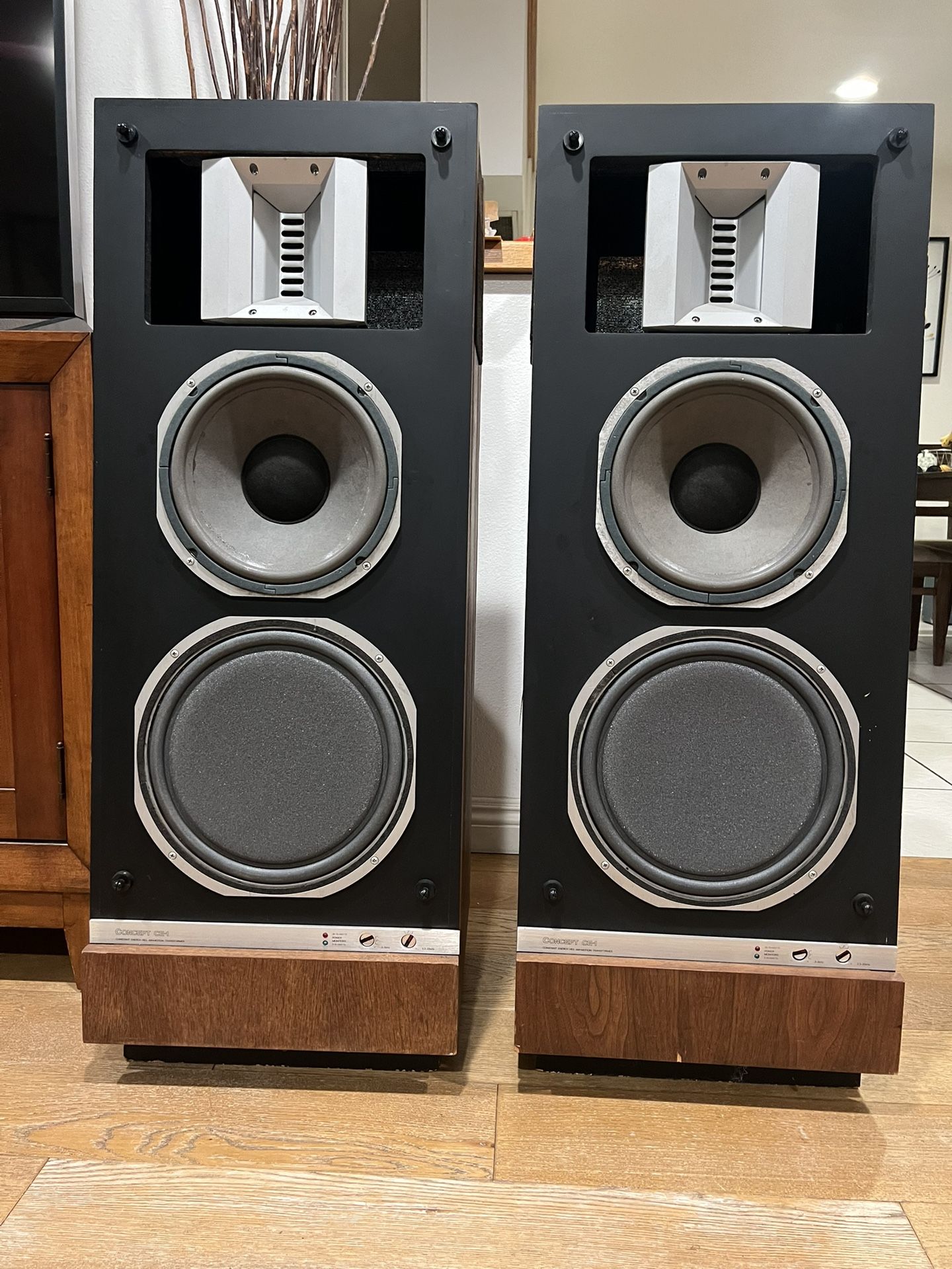 Concept CE-1, by ESS Speaker, Rare one pair Speaker, serviced and excellent working condition, 