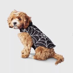 Reflectivez Spider Web Dog Vest - Boots & Barkley™ Black XL