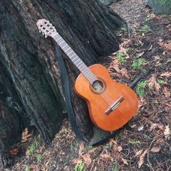 Classical Guitar In Good Playing Shape .  INDIANA brand Paoli Model 