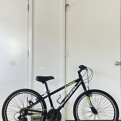 Schwinn Campus Hybrid Kids Bike 24”