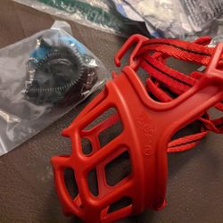 All Sorts Of Dogs Accessories