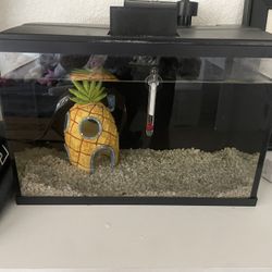 SELLING 5 GAL and glofish and some others