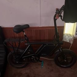Electric Bike