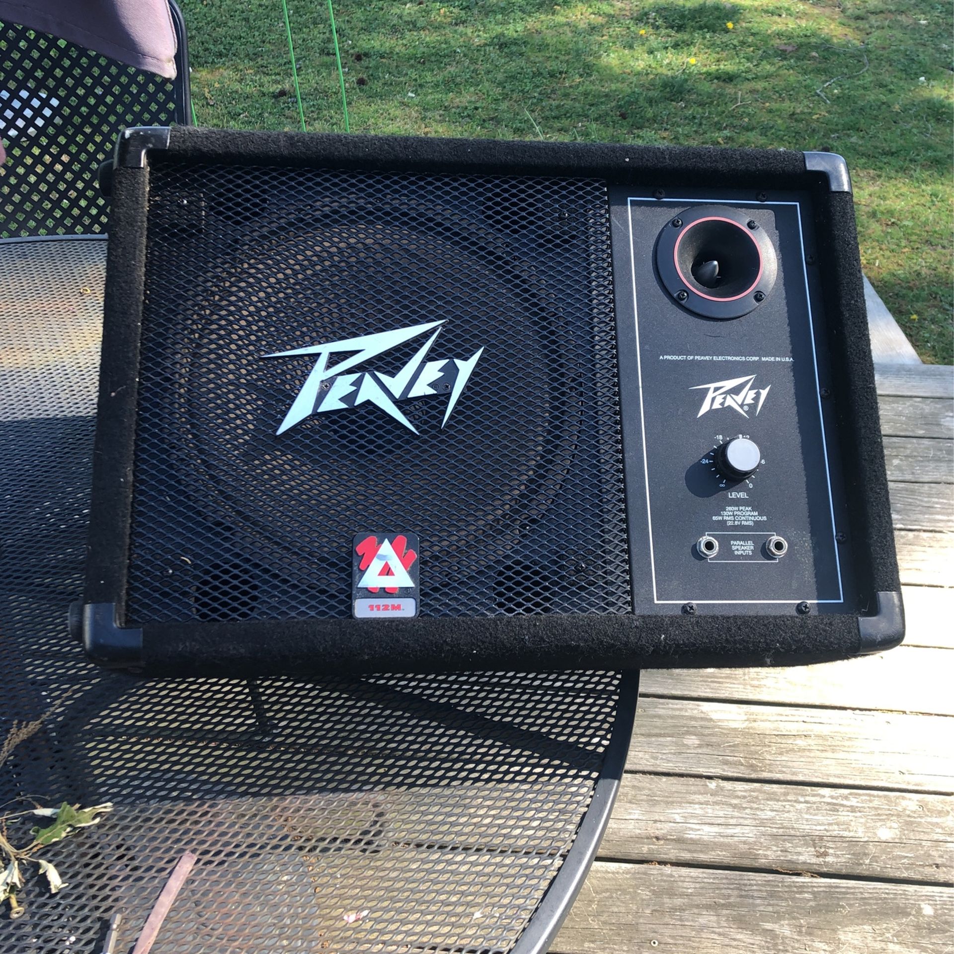 Peavey  112M Floor Monitor