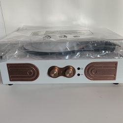 DANFI AUDIO DF Vinyl Record Player with Built-in Speakers 3-Speed