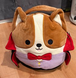 New with Tags Squishmallow 🎃 Treat Pails $7 each