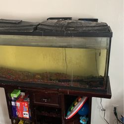 75 Gallon Tank