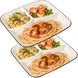 Divided Plates For Adults (2 Packs), Ceramic Portion Control Plate Sectioned With Dividers,Square 9.9 Inch 3 Compartment Food Separator Dinner Plates 