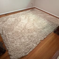 8x10 Shag Rug