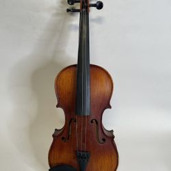 Viola
