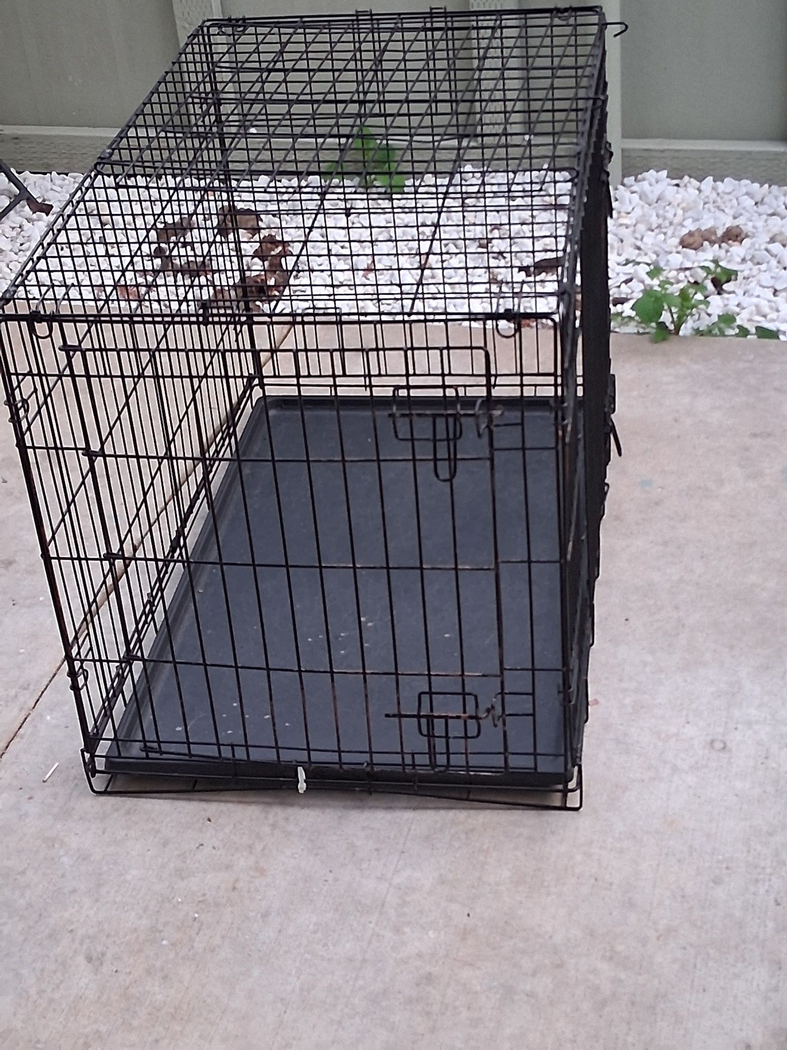 Dog Cages