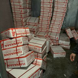 Hawaii Little Coconut