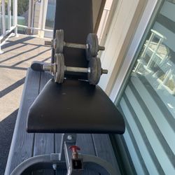 Exercise Bench And Weight Set