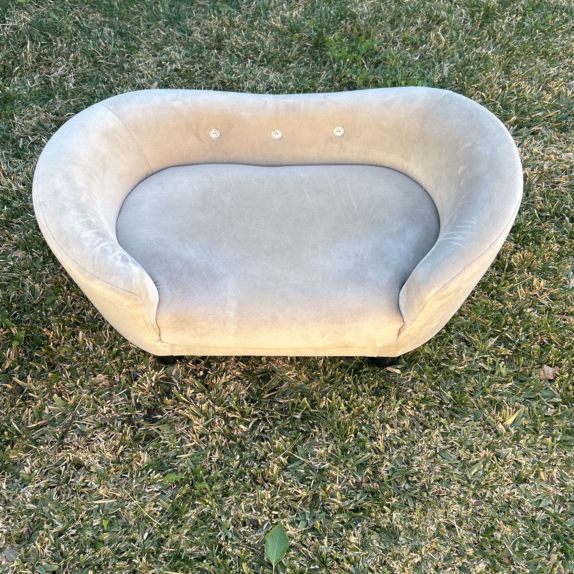 Dog Couch and bed