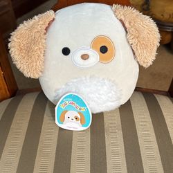 Squishmallow Harrison Small 