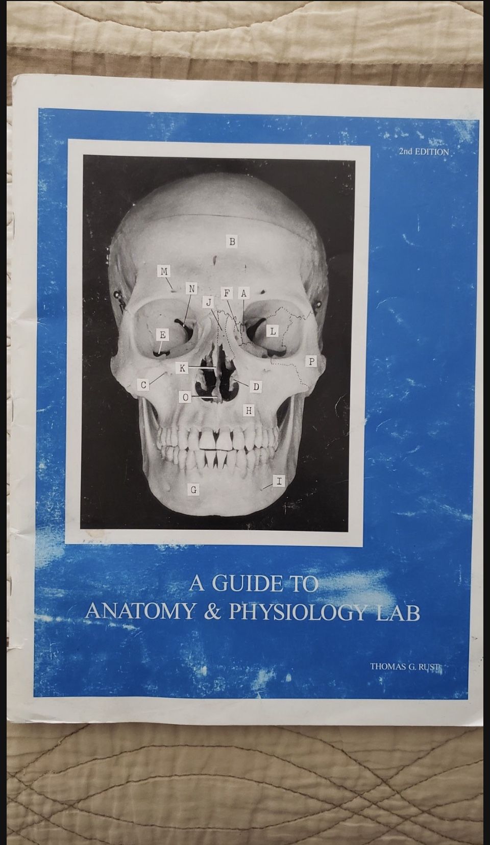 A guide Anatomy and Physiology lab Manual