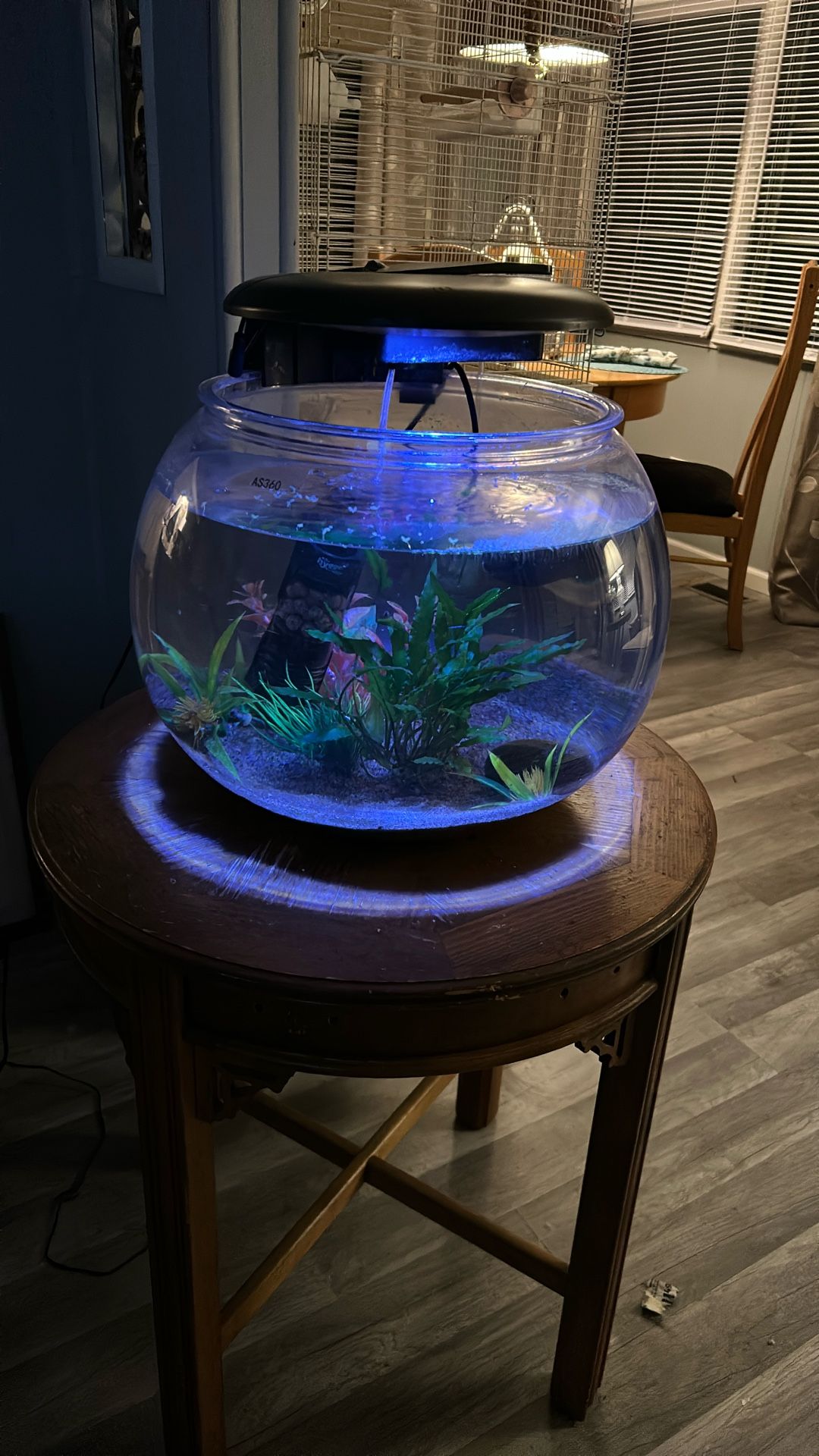 Fish Tank
