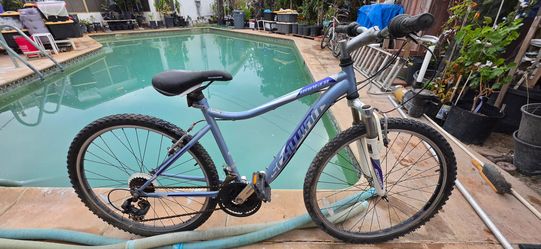 Mountain Bike speed