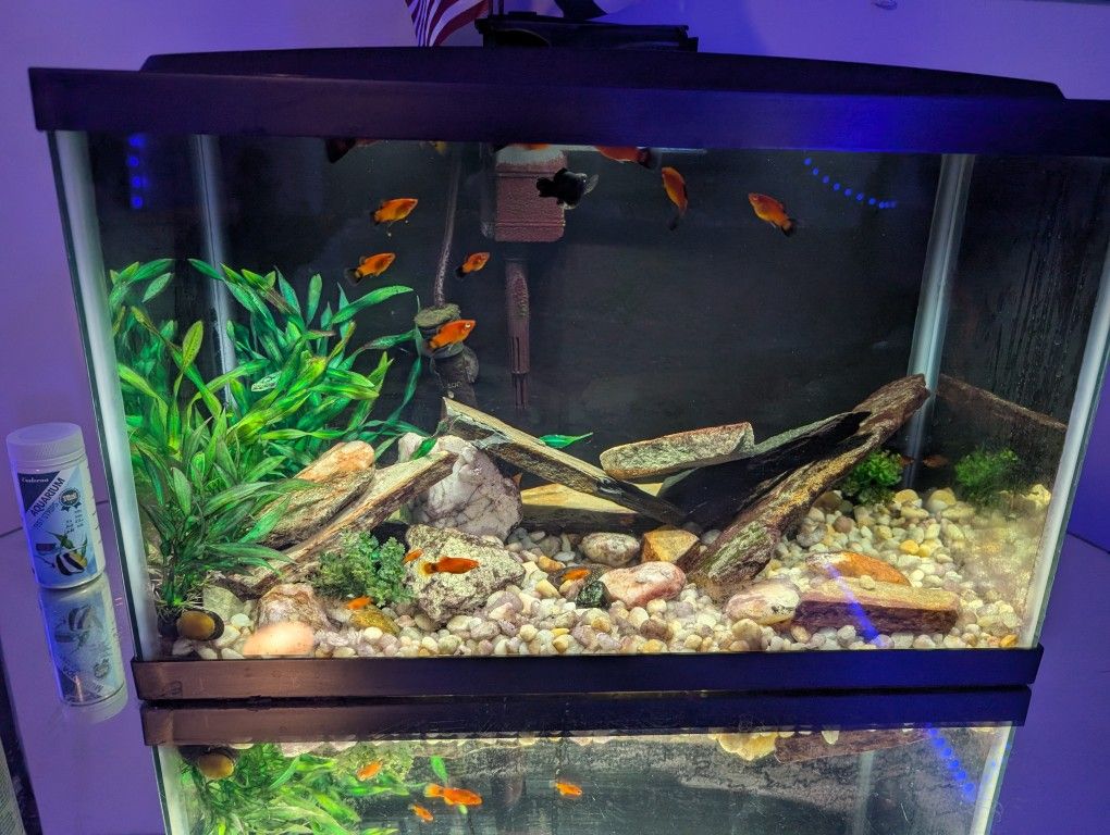 Fish Tank