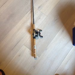 Fishing Rod
