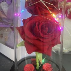 Red Rose Glass