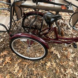 Schwinn Trike