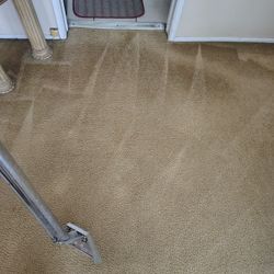 Carpet Kleaner