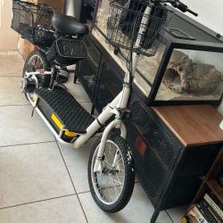 Electric Scooter