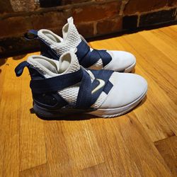 LeBron Soldier 12 SFG Witness Sneaker