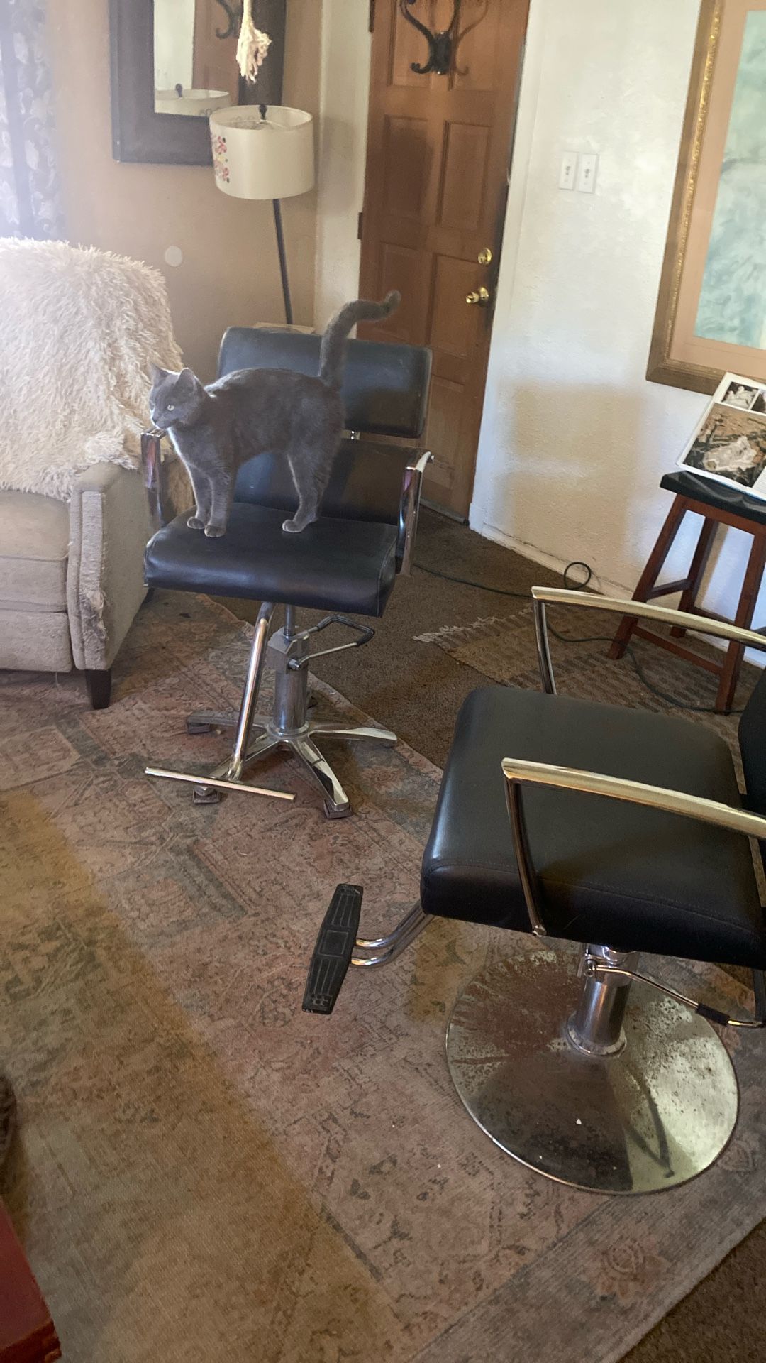 BARBER CHAIRS SET SPIN HARDWARE AND hydraulics too