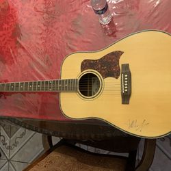 Acoustic Guitar 