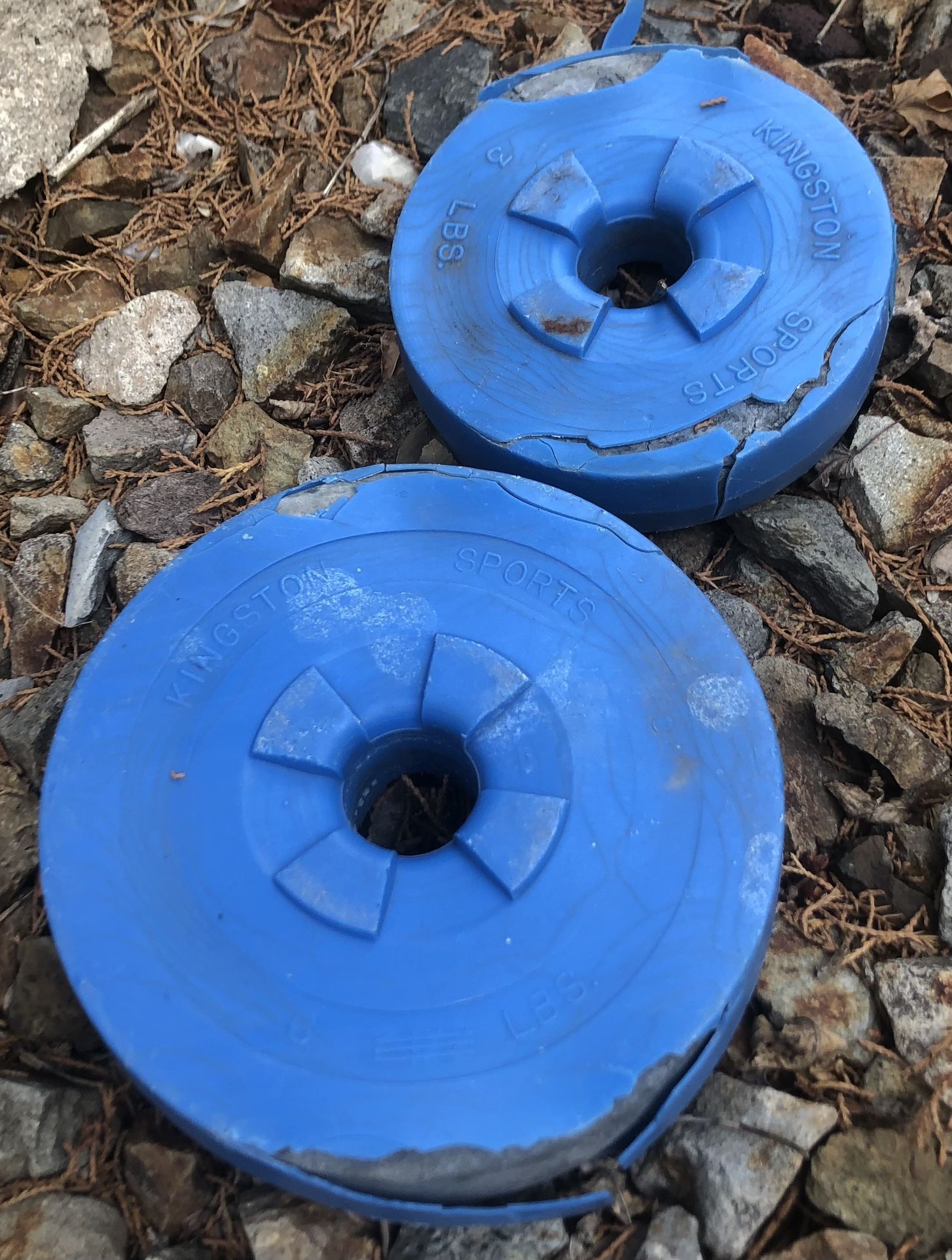 Kingston Sports Bar Weights