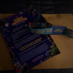 Beyond Wonderland Ticket 