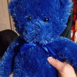 Blue Bear Plush Toy.