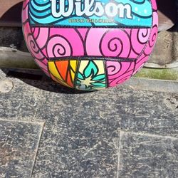 Wilson Volleyball