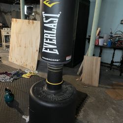 Everlast Adjustable Punching Bag
