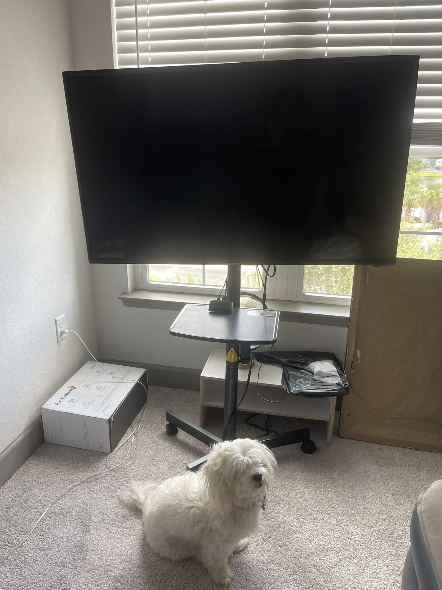 Rolling television Stand. Like NEW!!