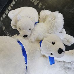 St Jude's Children's Research Hospital Polar Bear With Baby Polar Bears Attached