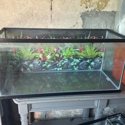 40 gallon aquarium