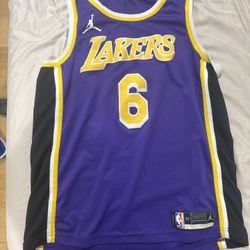Lakers LeBron James Jersey Purple #6