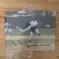 1971 Joe Moeller Arena Card