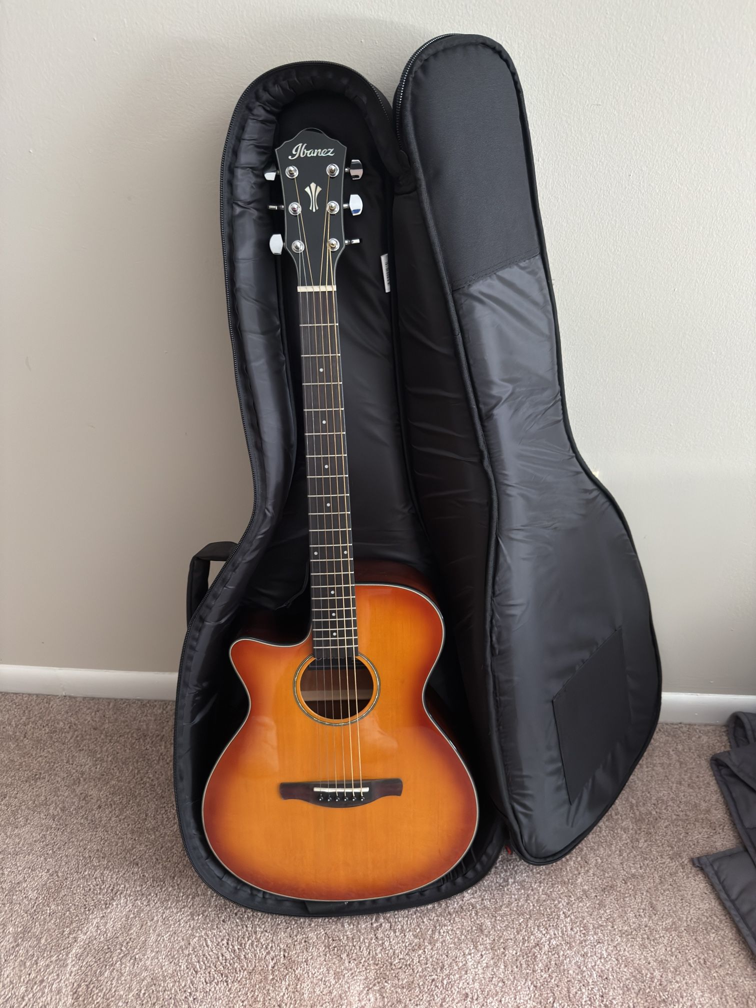 Ibanez Acoustic Left-Handed Guitar