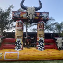 Mechanical Bull