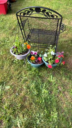 Hanging flower pots for $12 each