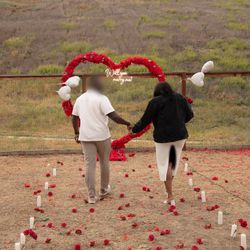 Proposal set - decoration 