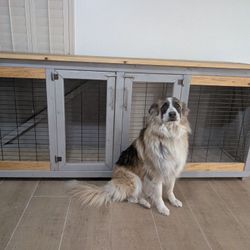 Custom XLarge Kennel For 2 Dogs